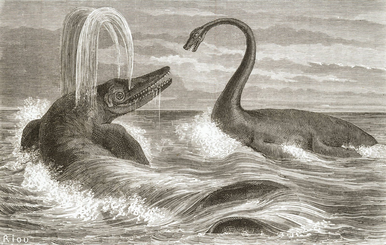 Ichthyosaur_fish-dinosaur