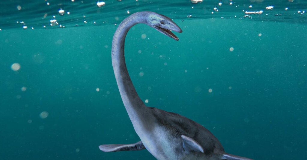 Which dinosaur has a long neck and swims in the water?