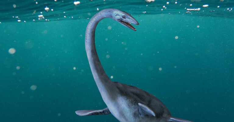 dinosaur with long neck that swims