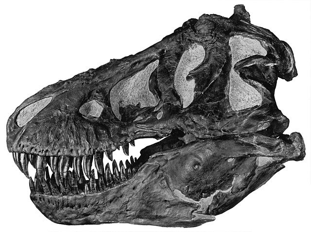 tyrannosaurus-rex-scavanger