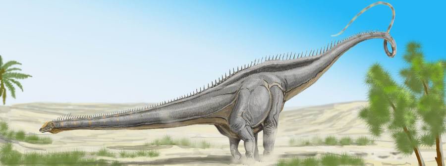 What Is A Diplodocus All You Need To Know About The Long Neck Dinosaur
