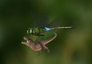 dragonfly-prehistoric-Meganeura-ancient
