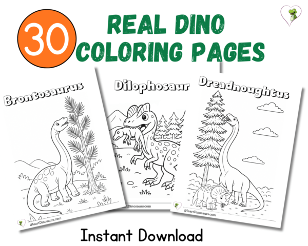 Real Dinosaur Coloring Pages – 30 Printable Sheets! - Image 2
