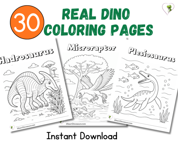 Real Dinosaur Coloring Pages – 30 Printable Sheets! - Image 4