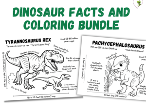 Dino Discovery: Dinosaur Facts and Coloring Bundle (10)