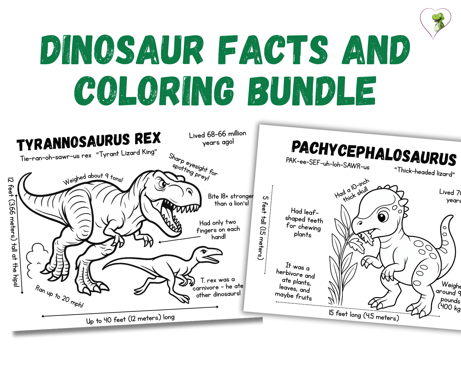 Dino Discovery: Dinosaur Facts and Coloring Bundle (10)